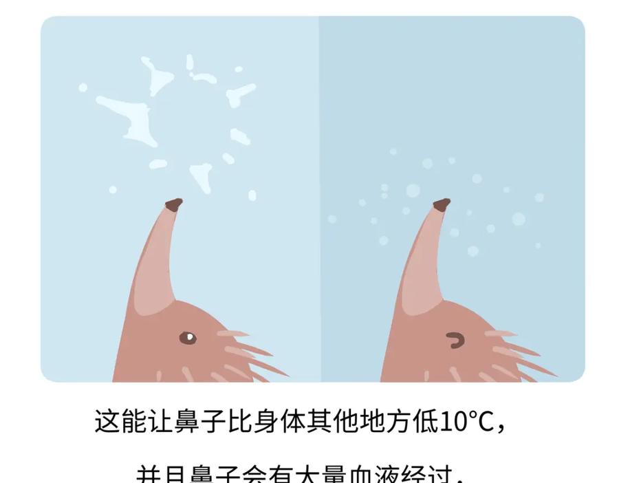 《胖达x胖达》第259话 第24页