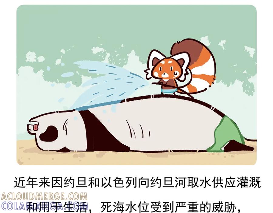 《胖达x胖达》第73话 第25页