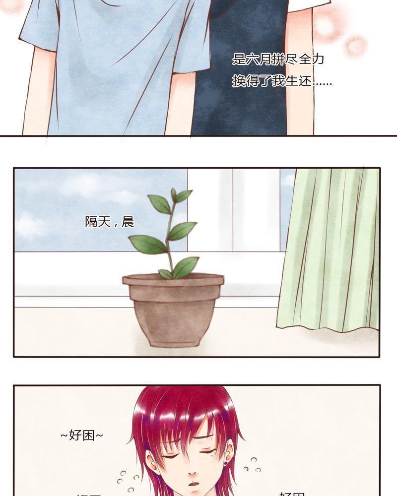 《吸血鬼同居中》41 第12页