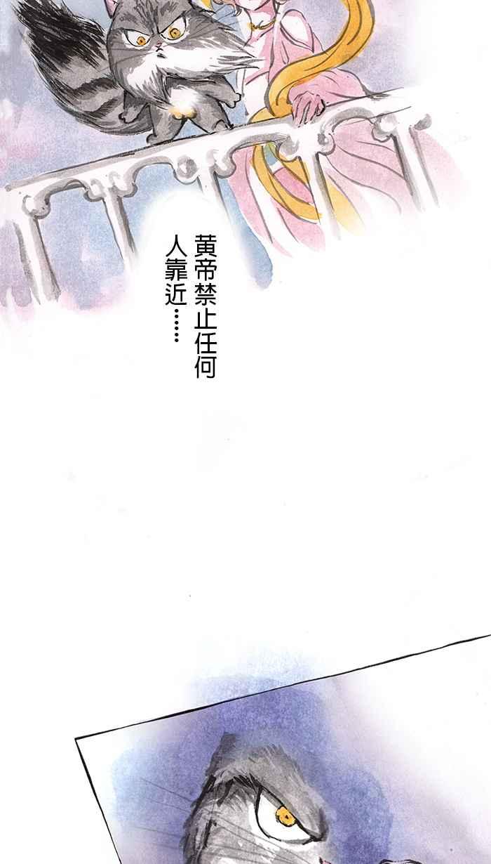 猫剑客 [第19话] 卦象门 第36页