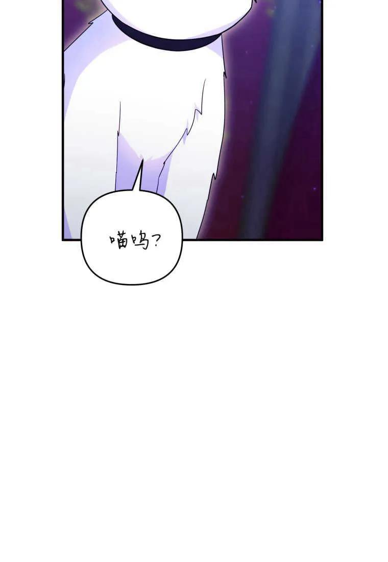 成为苏尔坦珍爱的猫咪 第34话 第55页