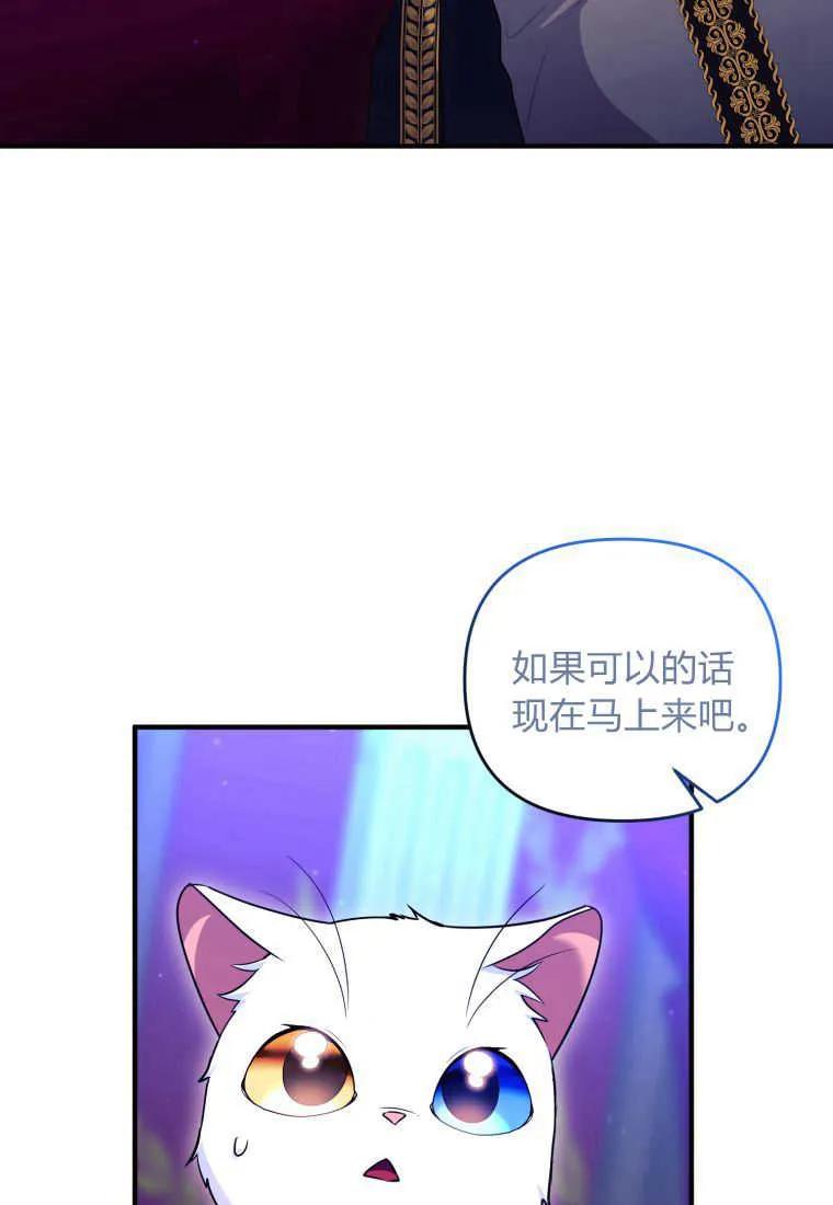 成为苏尔坦珍爱的猫咪 第34话 第54页