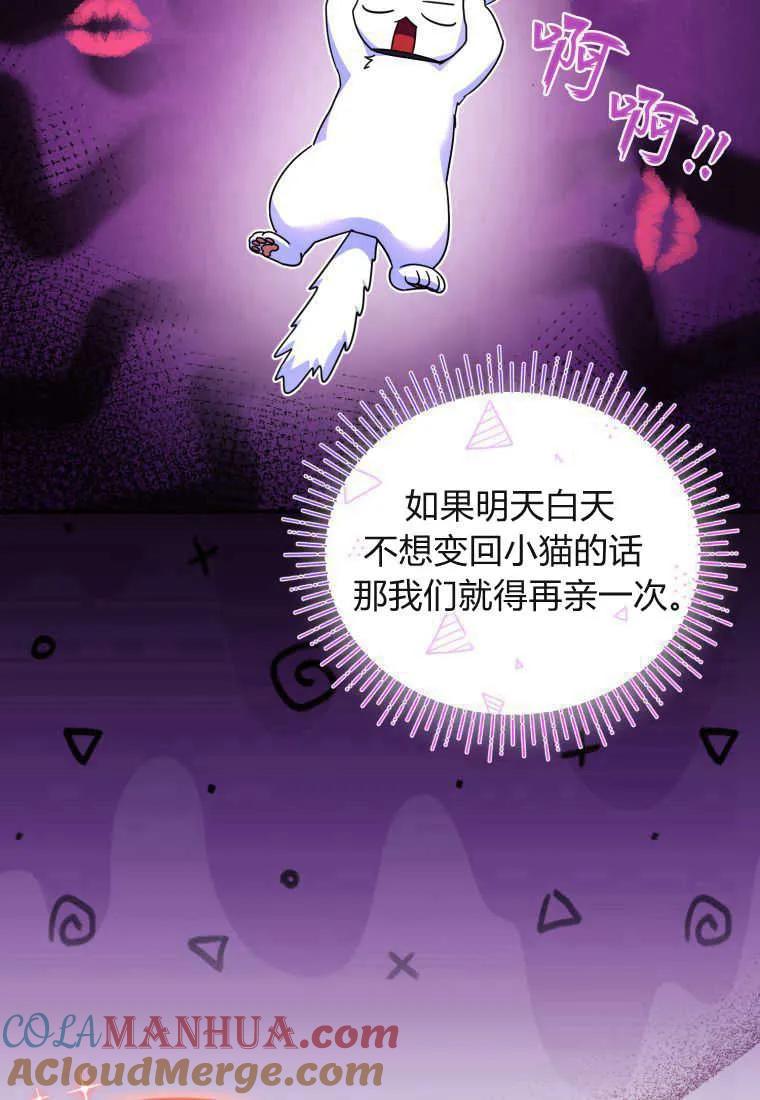 成为苏尔坦珍爱的猫咪 第34话 第61页
