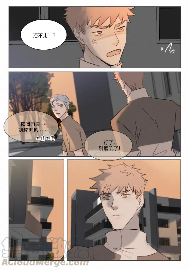 《温柔以待》108 116 撒娇什么的 第6页