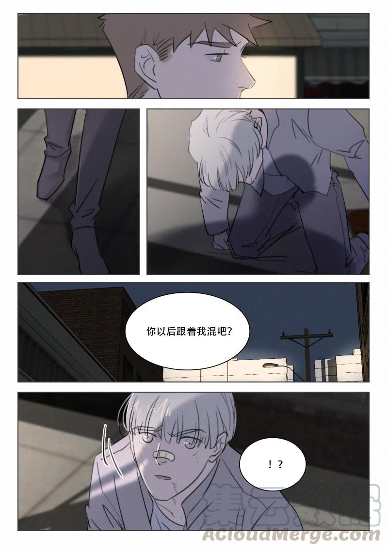《温柔以待》108 116 撒娇什么的 第9页