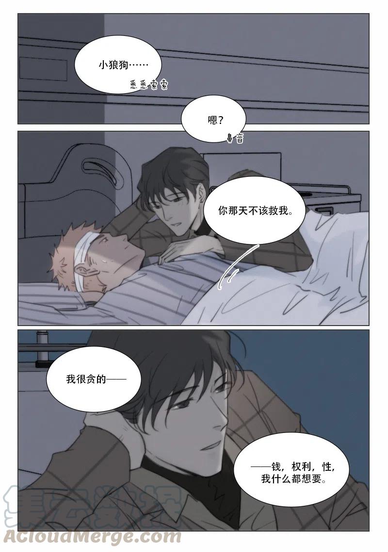 《温柔以待》139 146 贪心 第8页