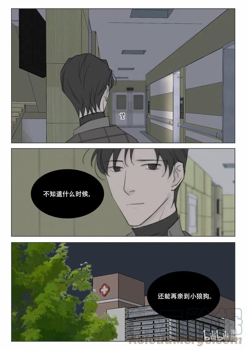 《温柔以待》141 148 亲密与欺骗 第12页