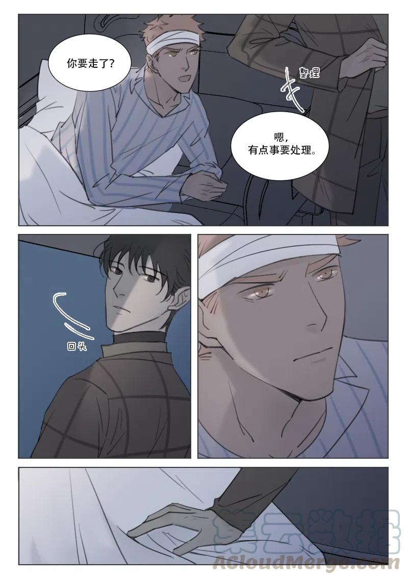 《温柔以待》141 148 亲密与欺骗 第3页
