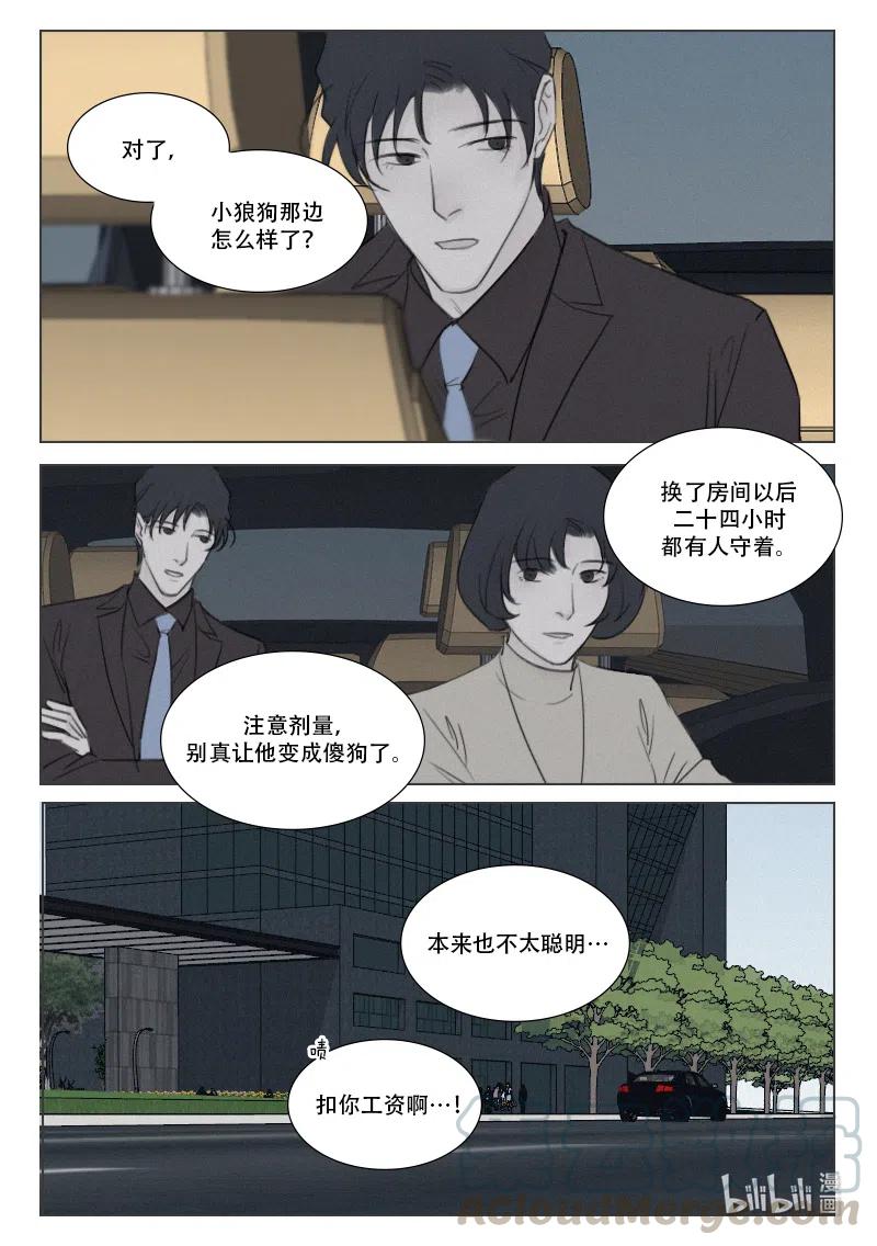 《温柔以待》150 157 别让他变成傻狗 第12页