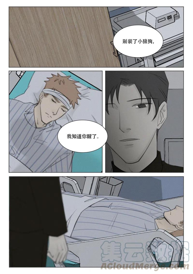 《温柔以待》153 160 出卖 第3页