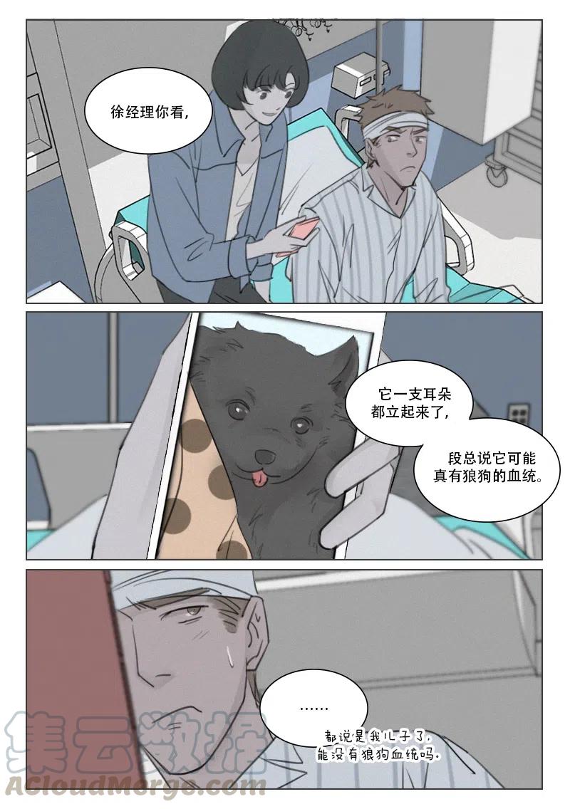 《温柔以待》159 166 “监视”？ 第9页