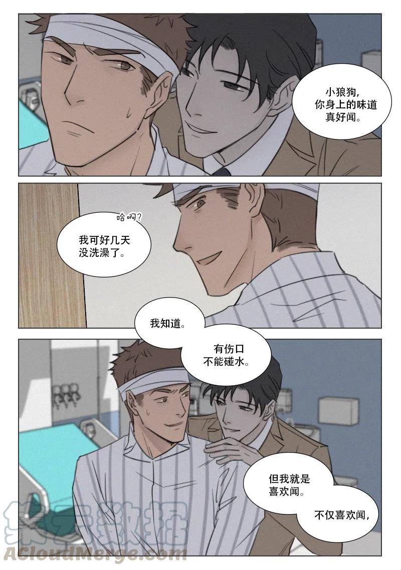 《温柔以待》164 171 生不如死 第5页