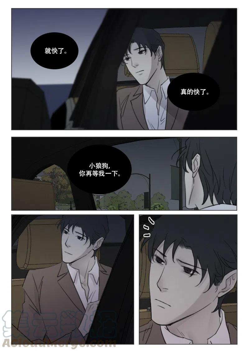 《温柔以待》166 173 逃离 第3页