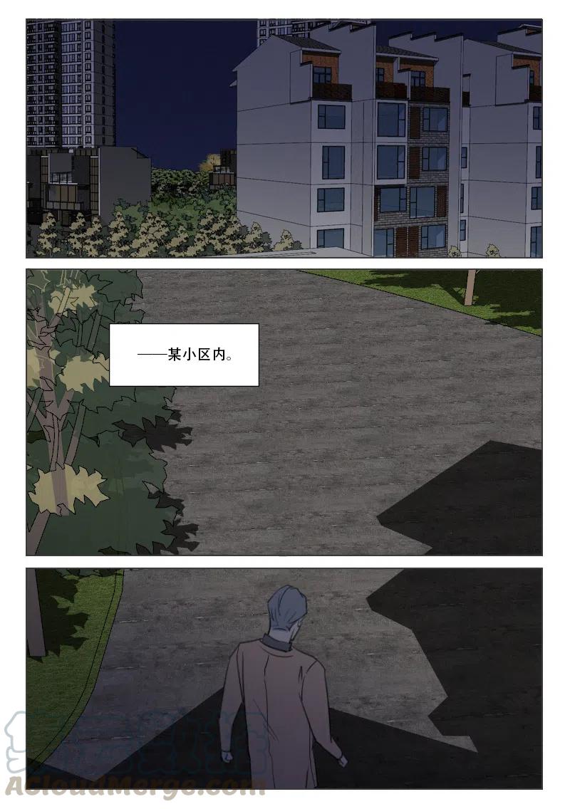 《温柔以待》167 174 时机到了 第11页
