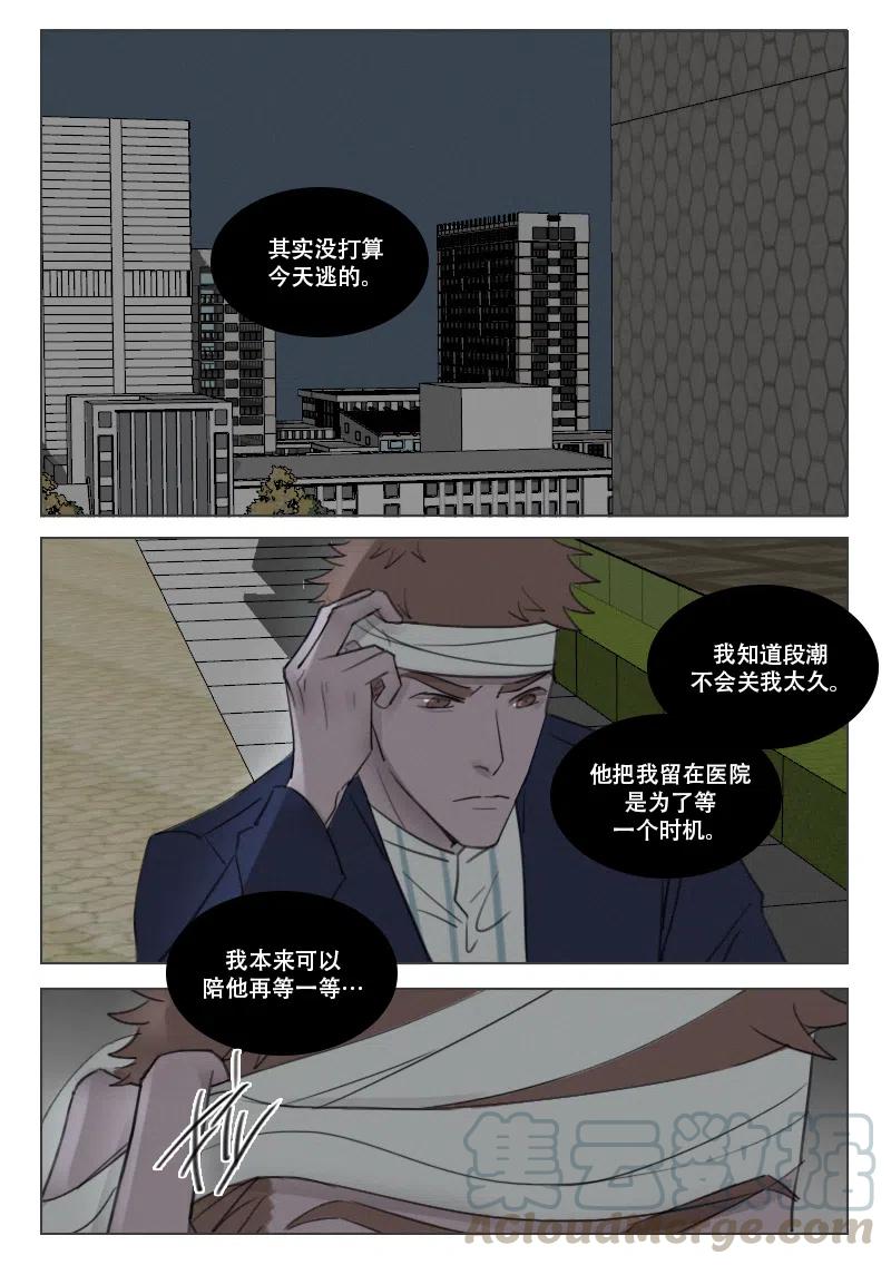 《温柔以待》167 174 时机到了 第3页