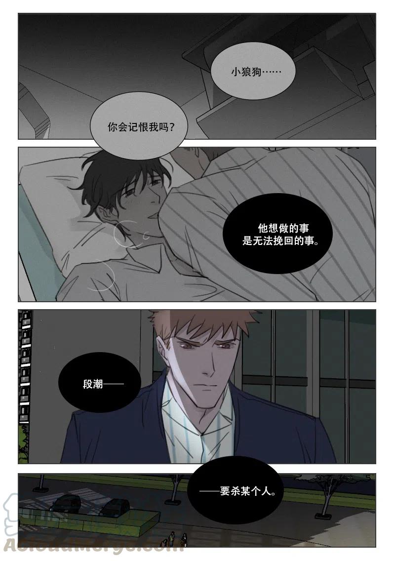 《温柔以待》167 174 时机到了 第5页