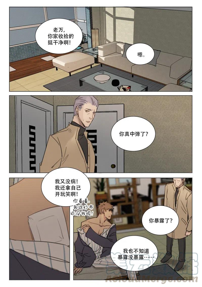《温柔以待》168 175 内鬼 第3页