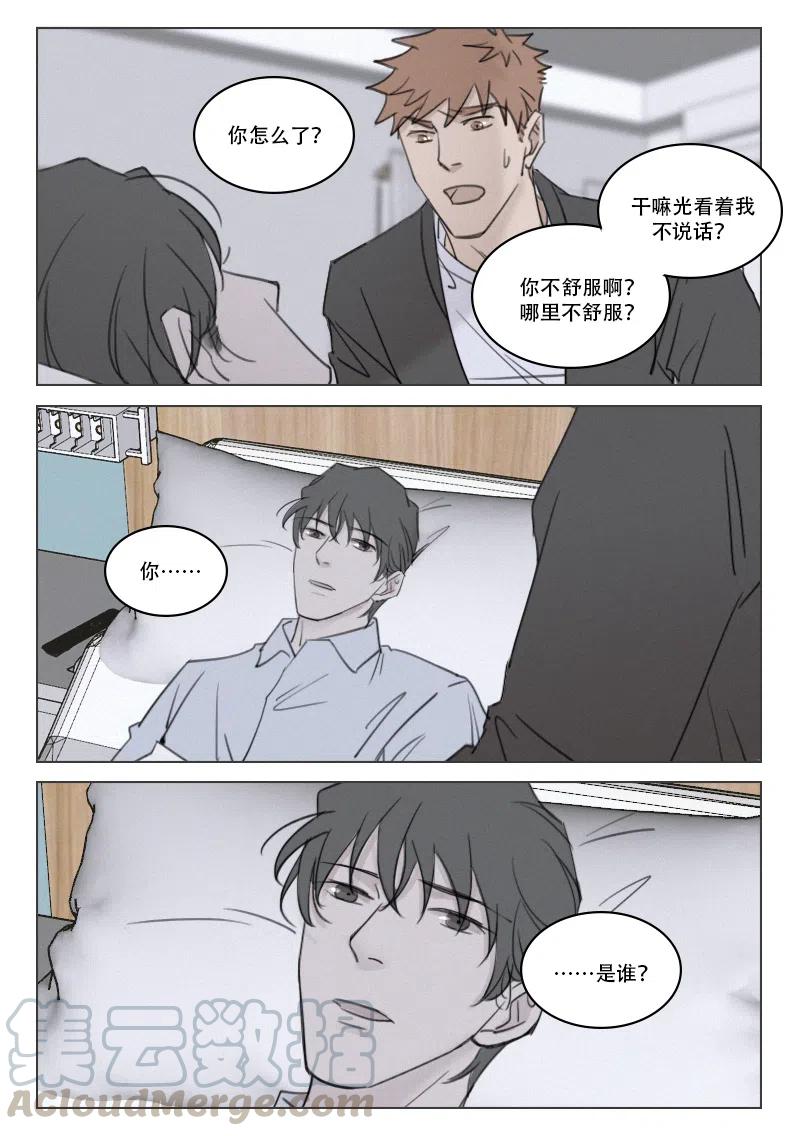 《温柔以待》191 198 失忆 第13页