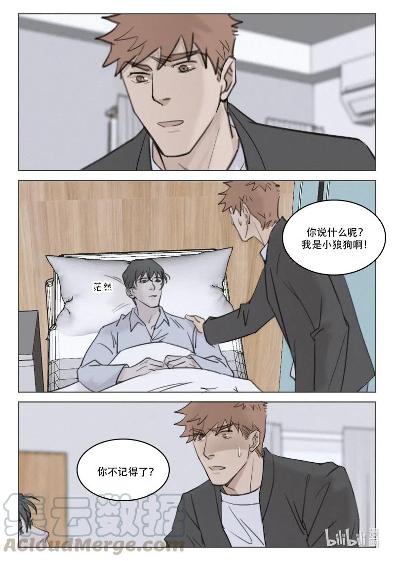 《温柔以待》191 198 失忆 第14页