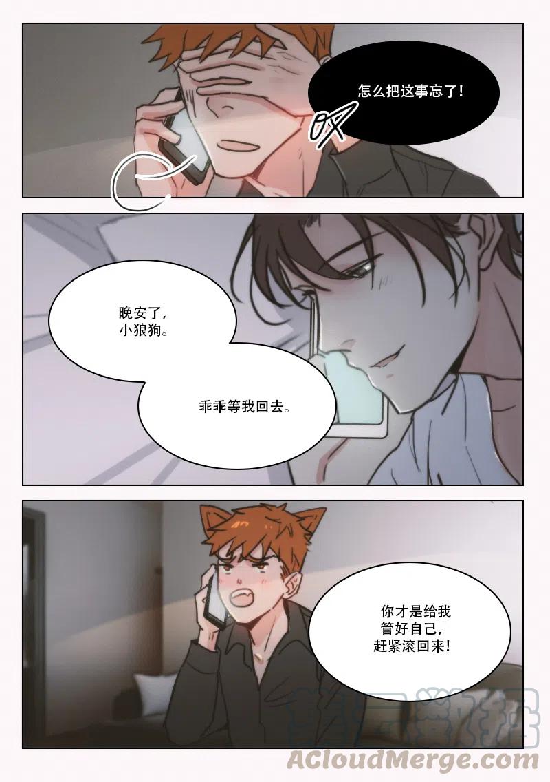 《温柔以待》67 75 GAY DOG！？ 第8页