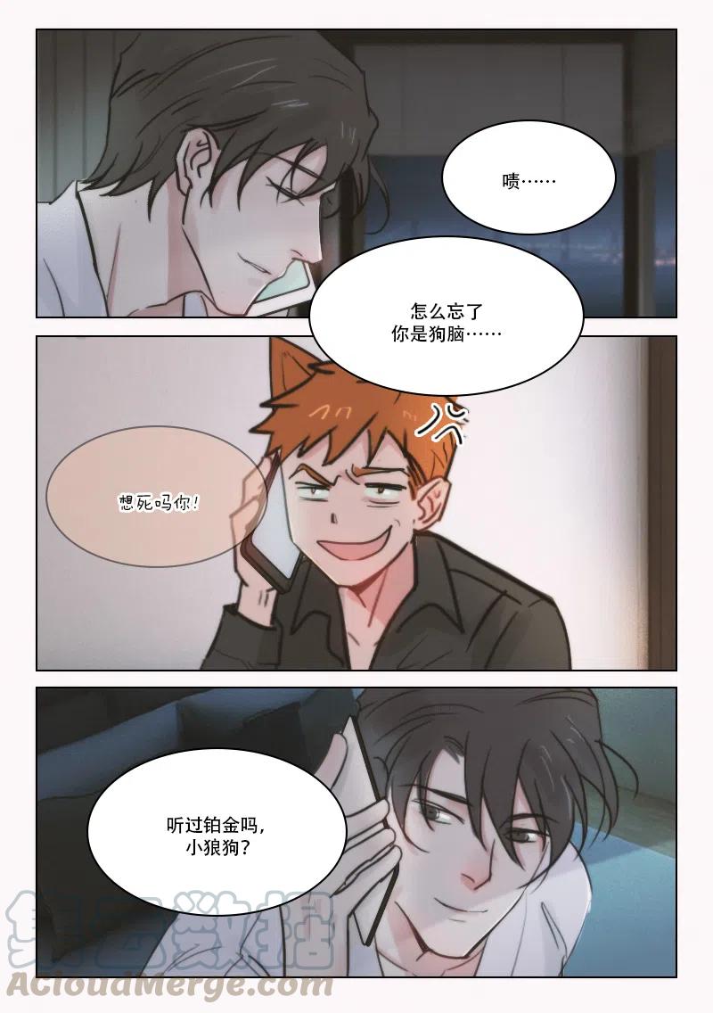 《温柔以待》67 75 GAY DOG！？ 第6页