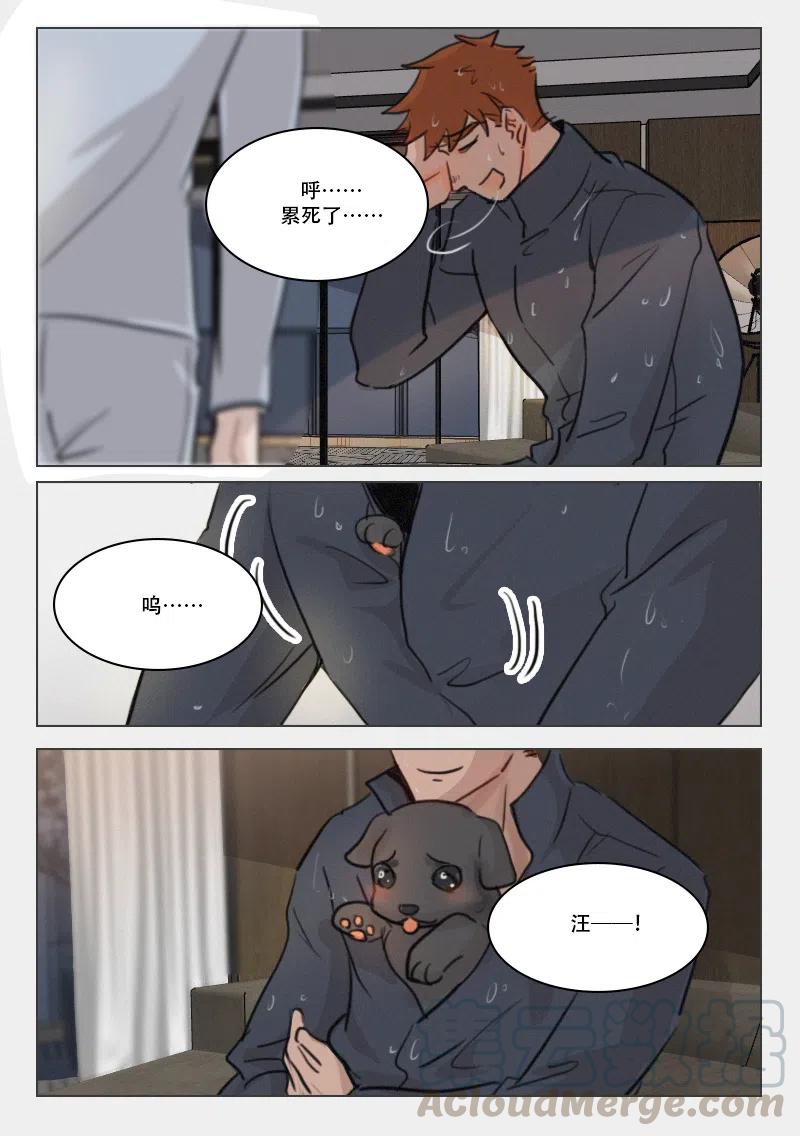《温柔以待》73 81 儿子！？ 第5页