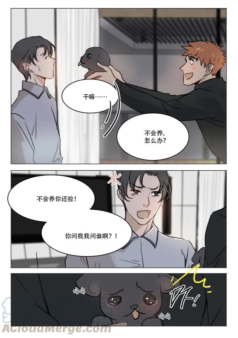 《温柔以待》74 82 请个月嫂吧 第2页