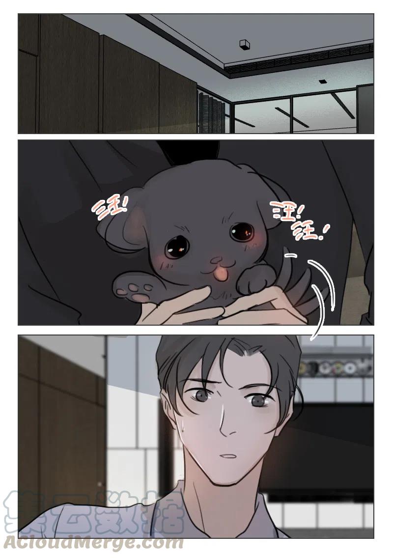 《温柔以待》74 82 请个月嫂吧 第1页