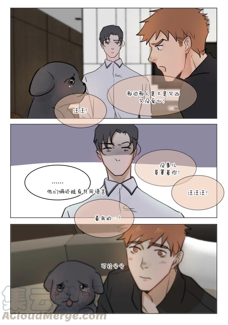 《温柔以待》74 82 请个月嫂吧 第3页
