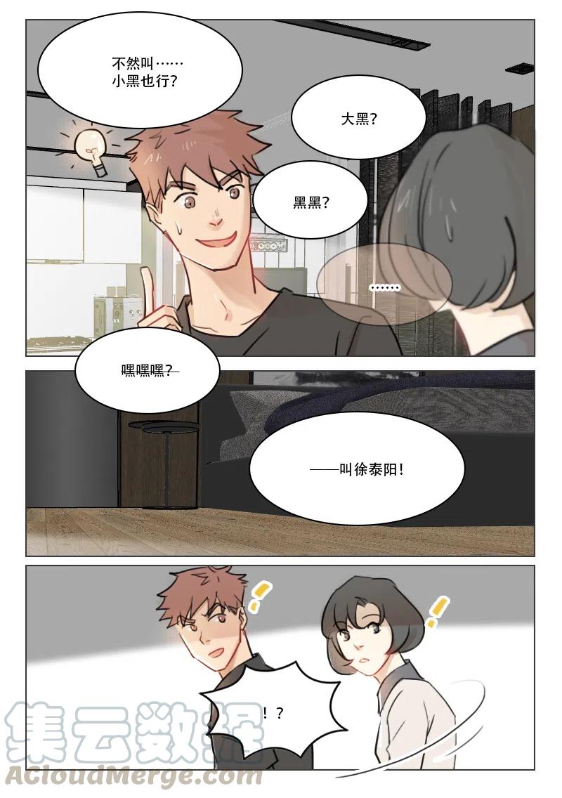 《温柔以待》77 85 阳阳 第6页
