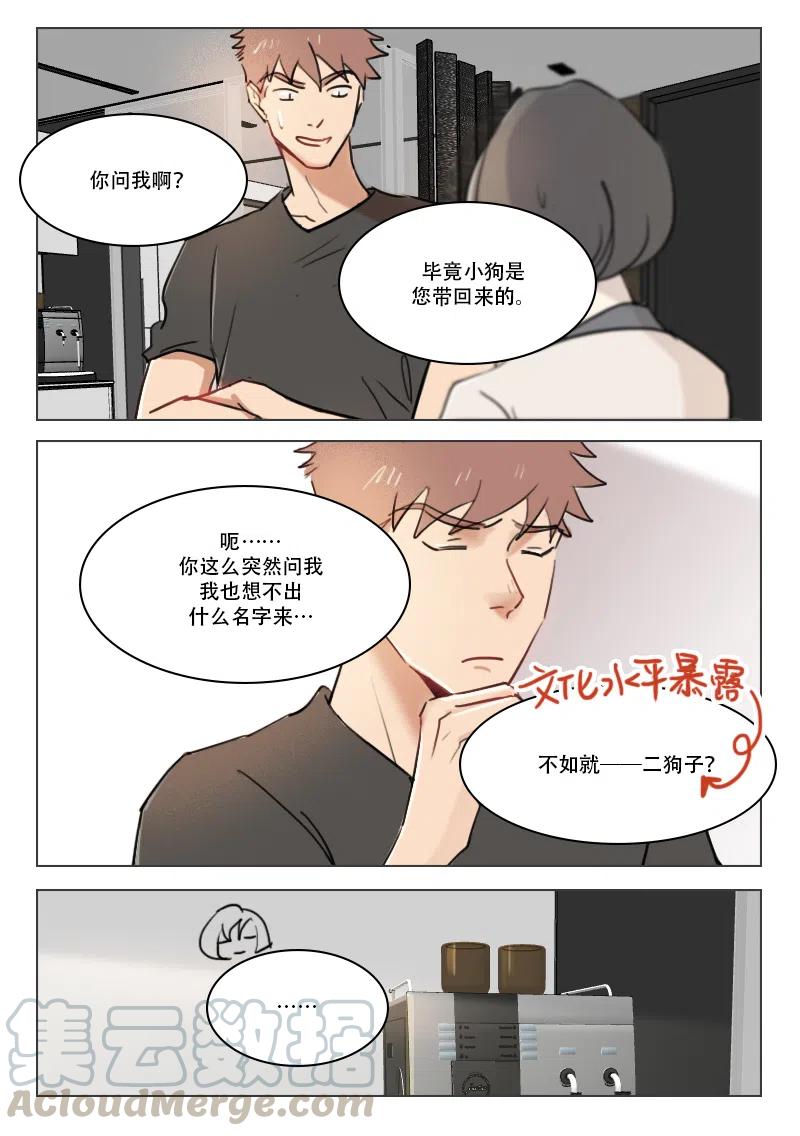 《温柔以待》77 85 阳阳 第5页