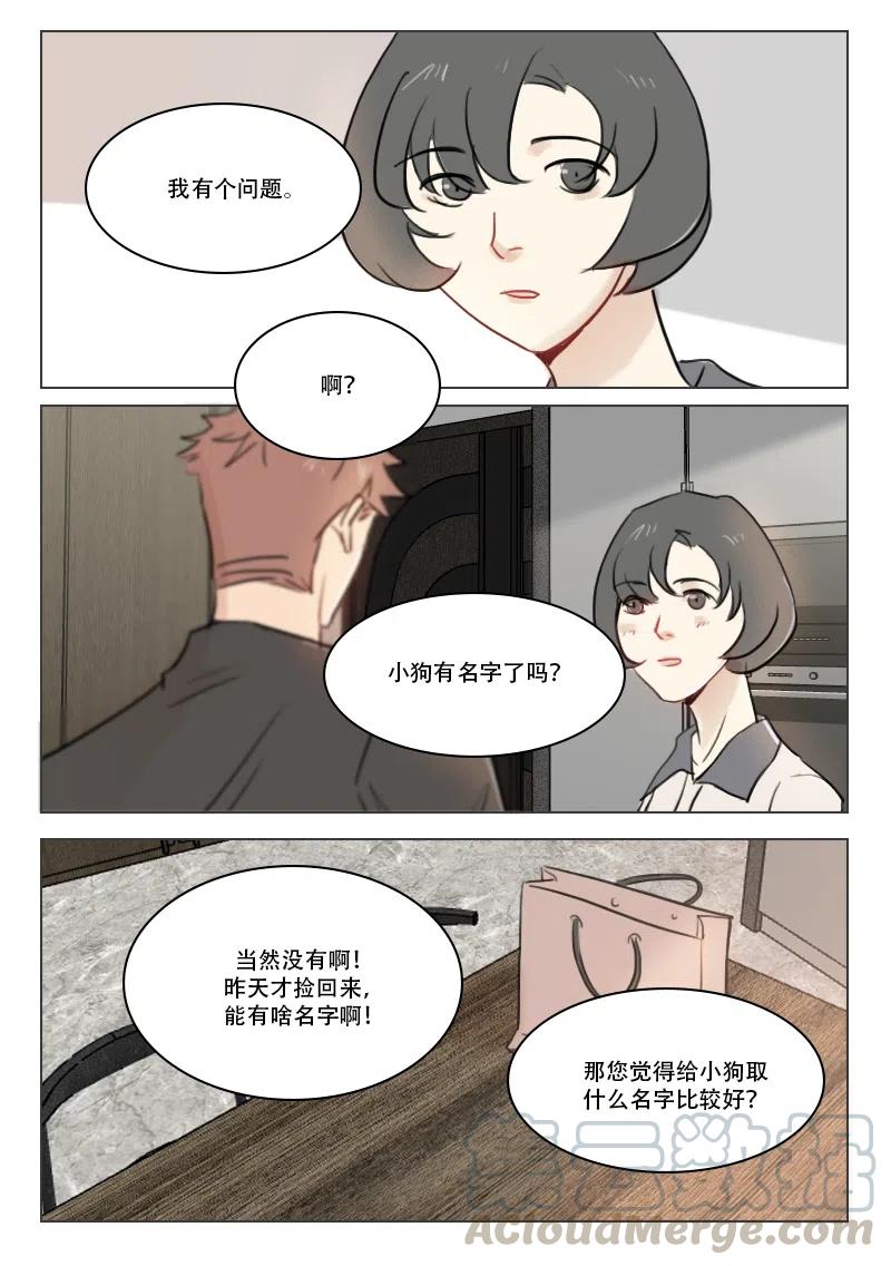 《温柔以待》77 85 阳阳 第4页