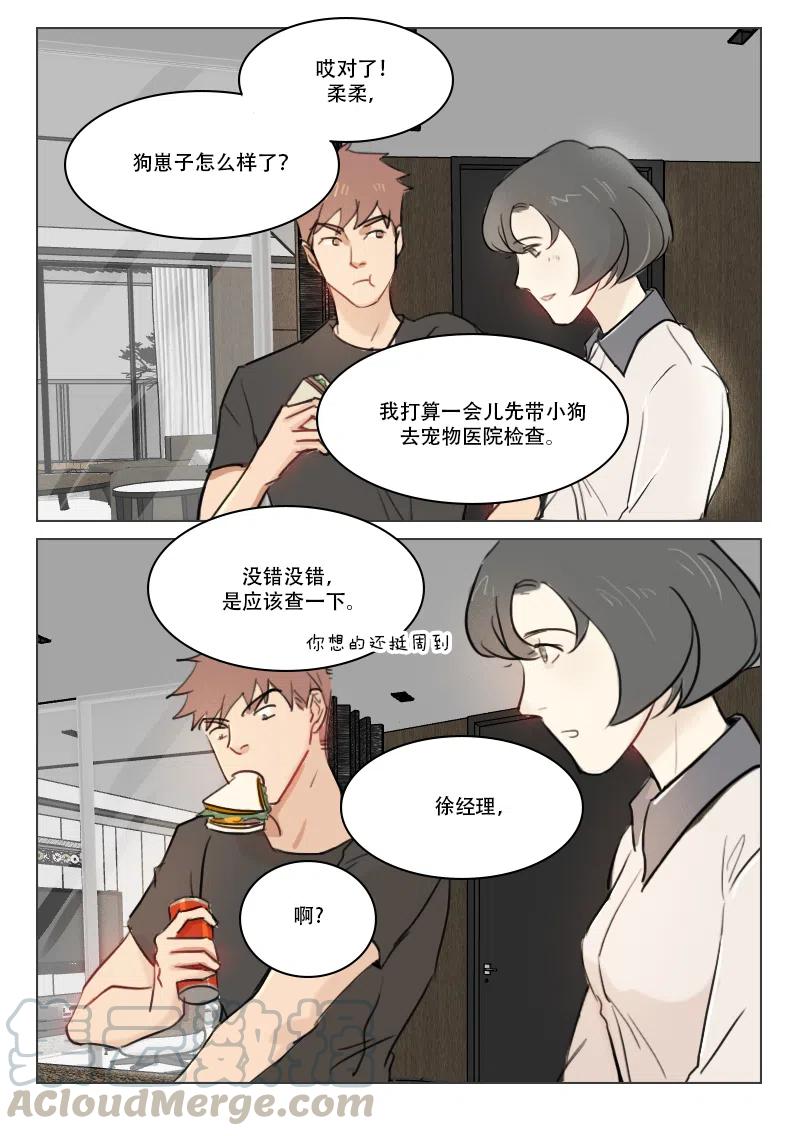 《温柔以待》77 85 阳阳 第3页