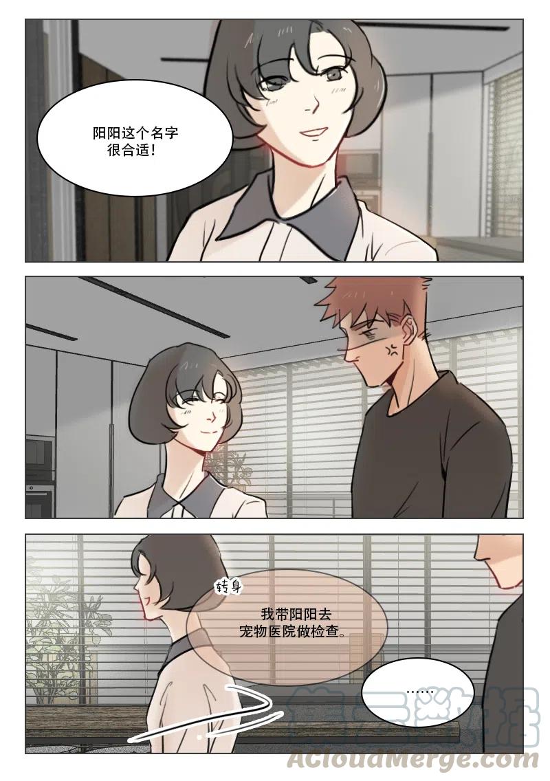 《温柔以待》77 85 阳阳 第8页