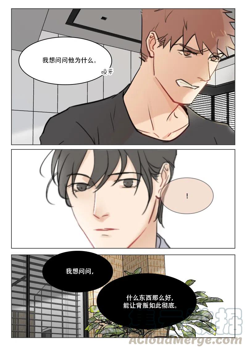 《温柔以待》78 86 疤痕 第8页