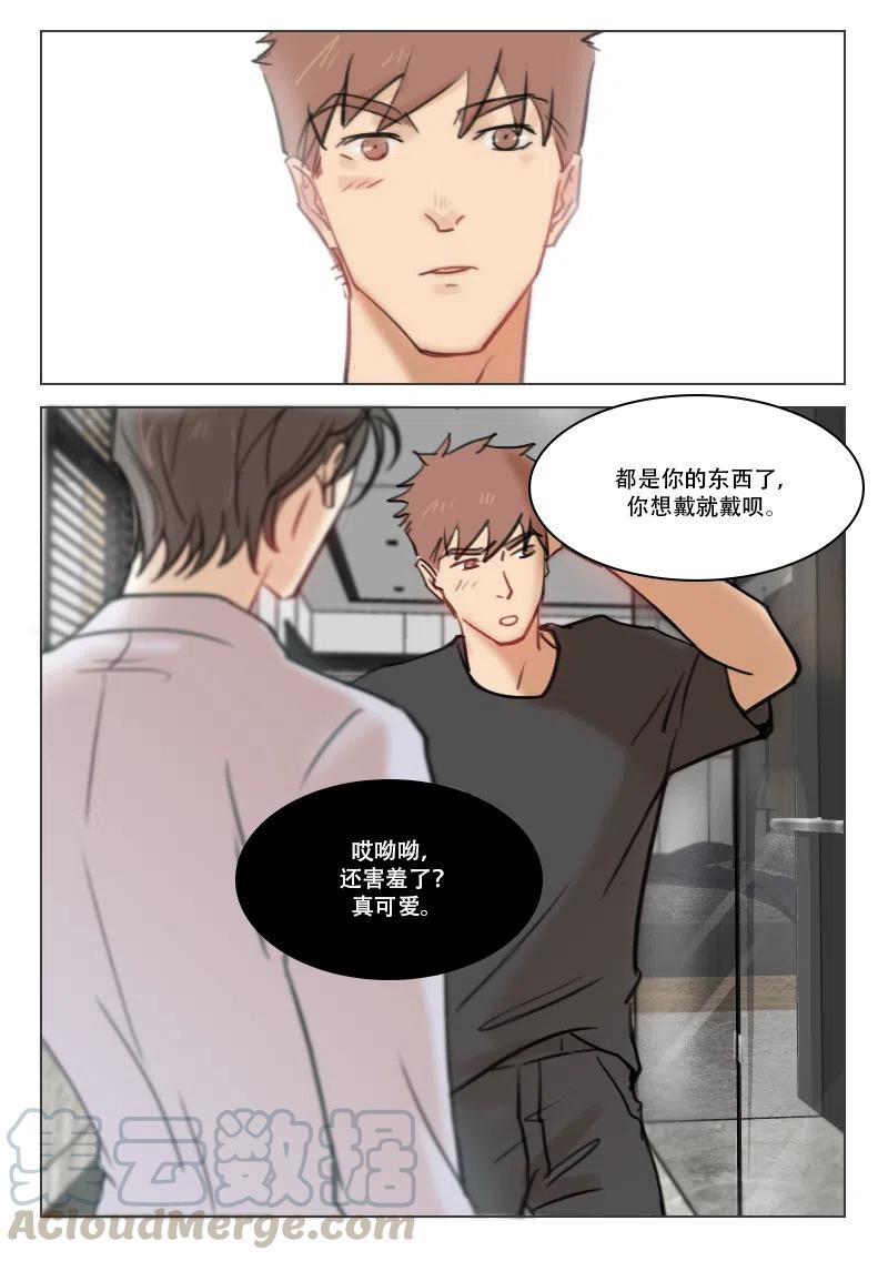 《温柔以待》79 87 定情信物？ 第7页
