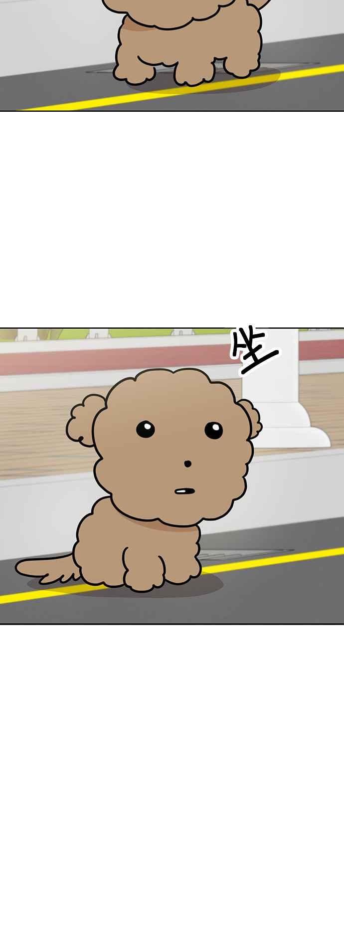 我家妹妹是狗狗 第73话 姐姐回来了!!! 第36页