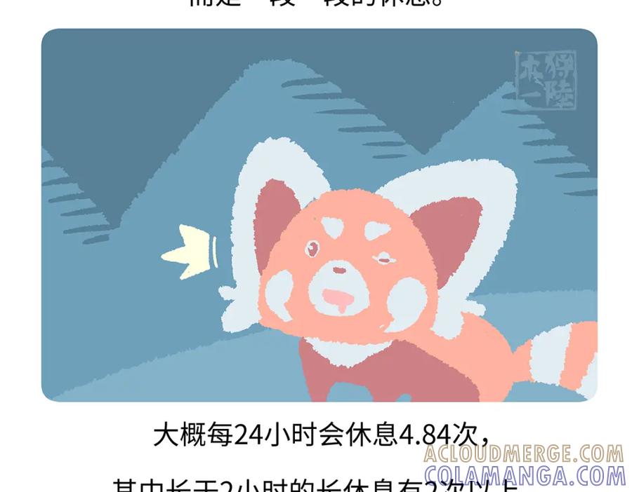 《胖达x胖达》第260话 第23页