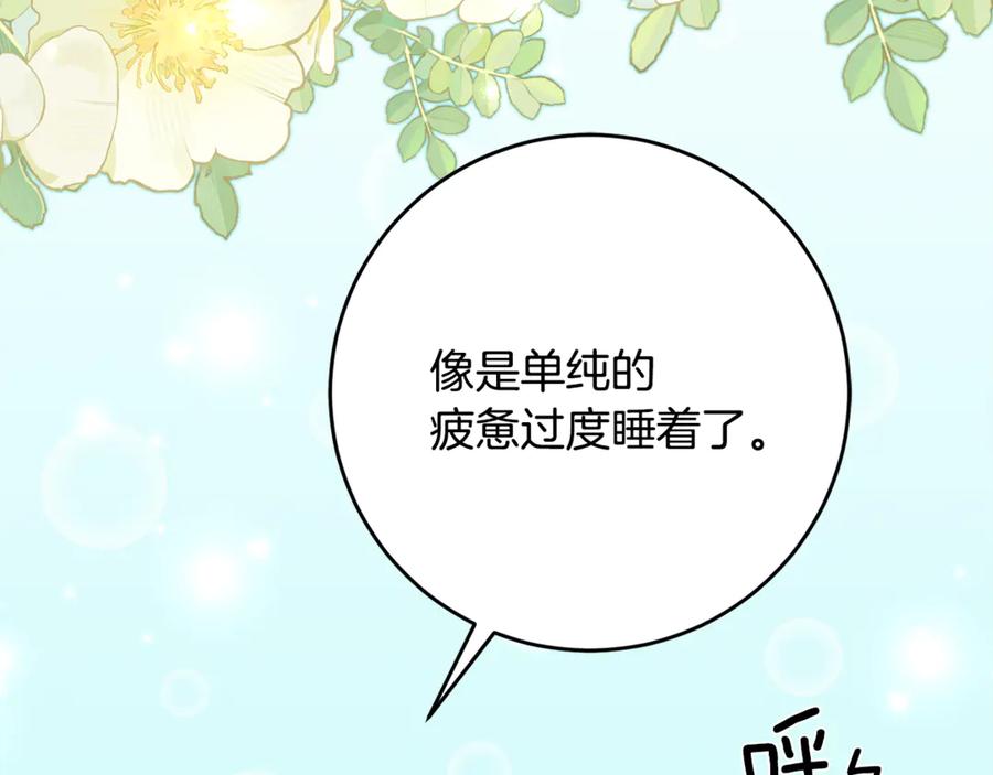 《刻薄公爵家的合约女儿》第51话 当我的主治医生 第148页