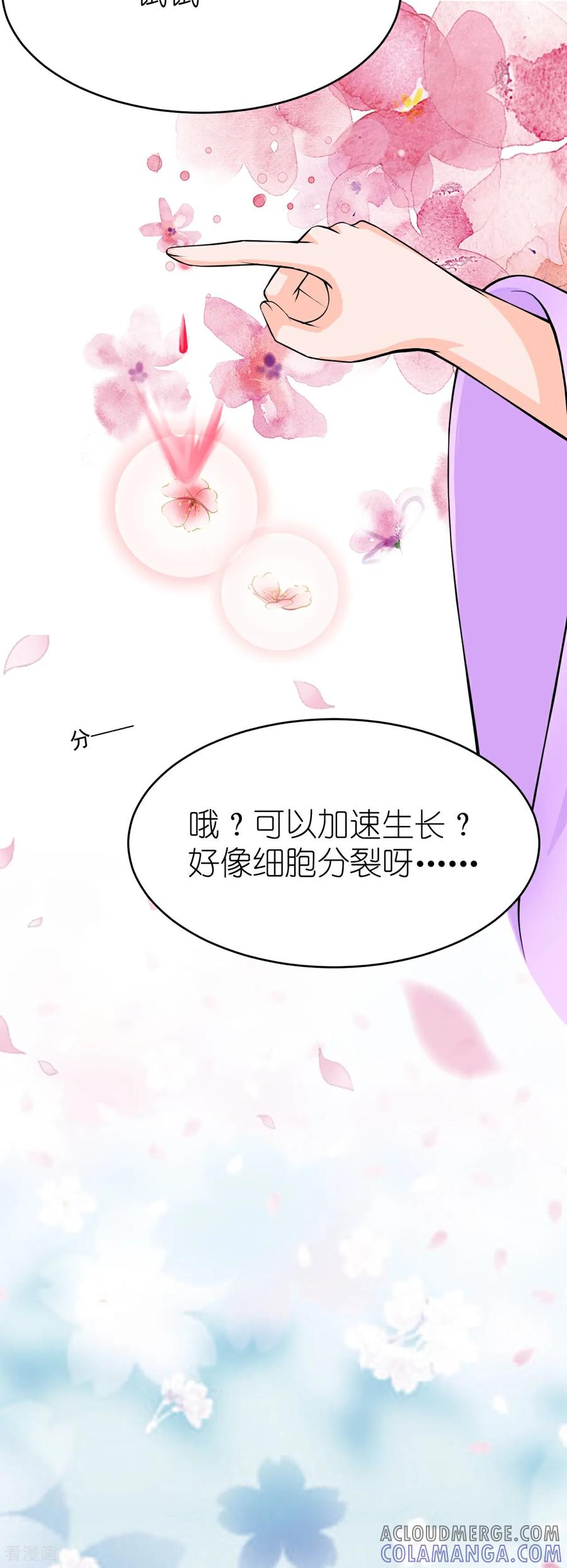 《花神人间录》第12话 杏花花神 第13页