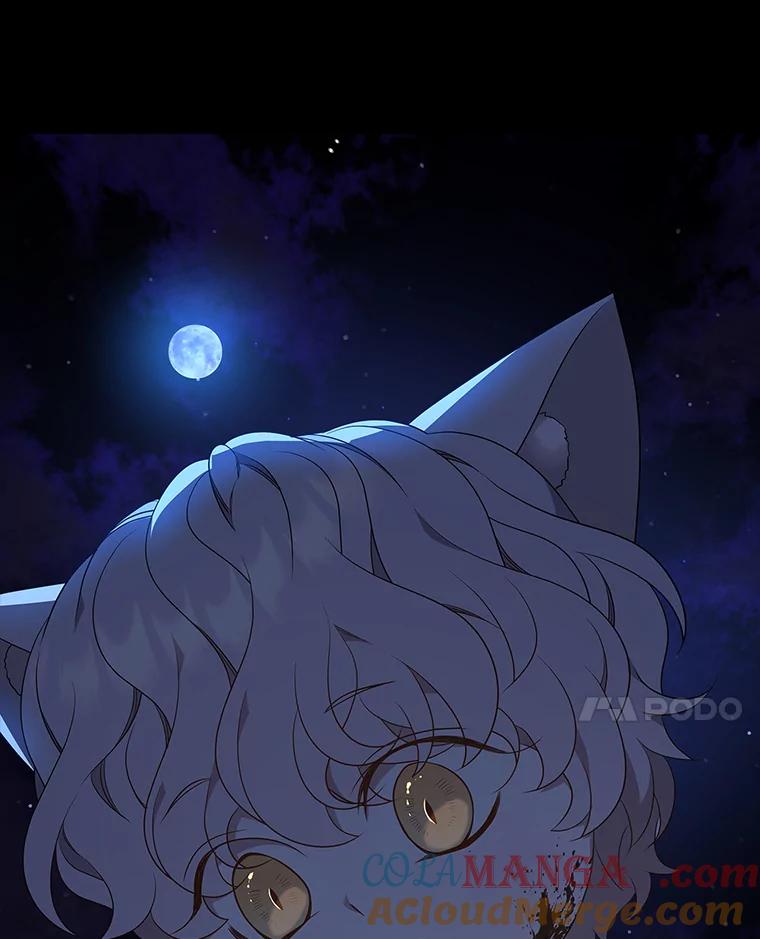 《魅惑狐狸》30.惊觉 第81页