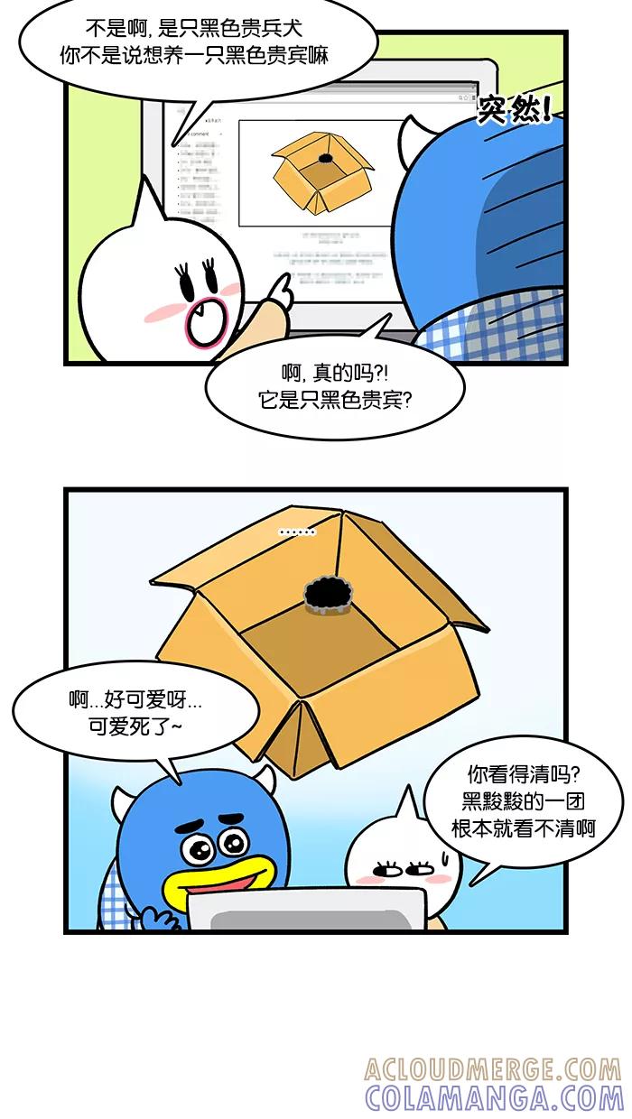 《我们结婚吧》[第60话] 叮咚 第13页