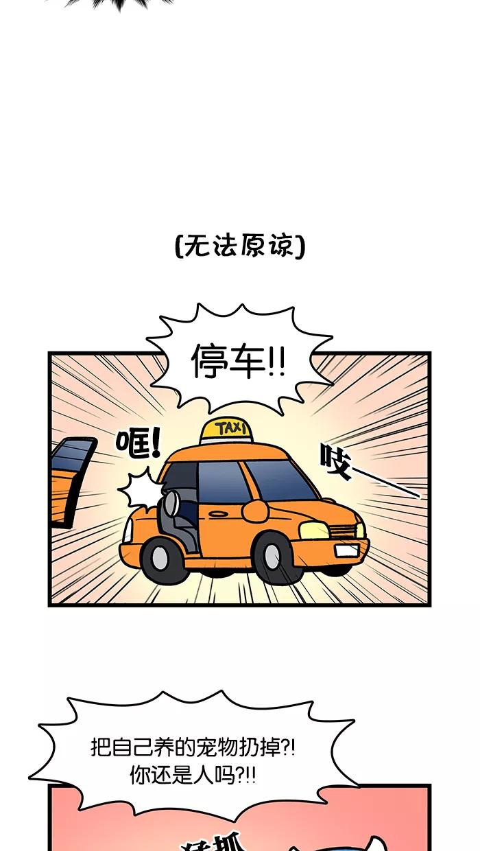 《我们结婚吧》[第66话] 汪星人控 第4页