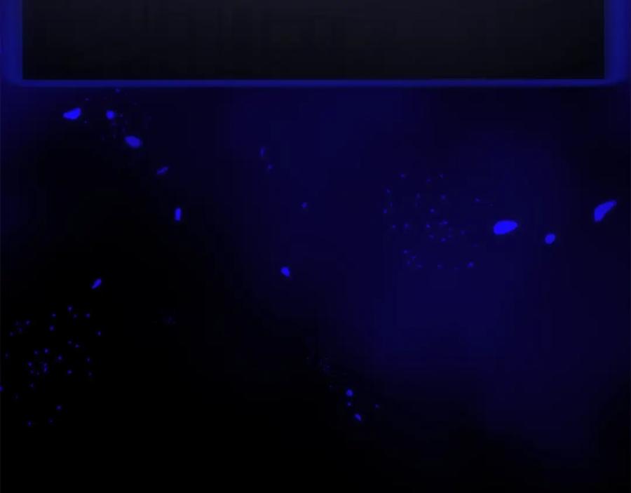 我爸太强了！ - 第108话 深夜遛龙 - 第84张图