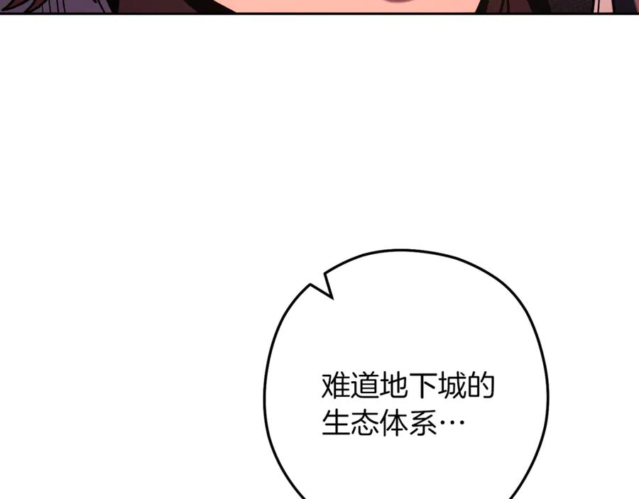 重启地下城 第246话 扭曲的因果 第198页