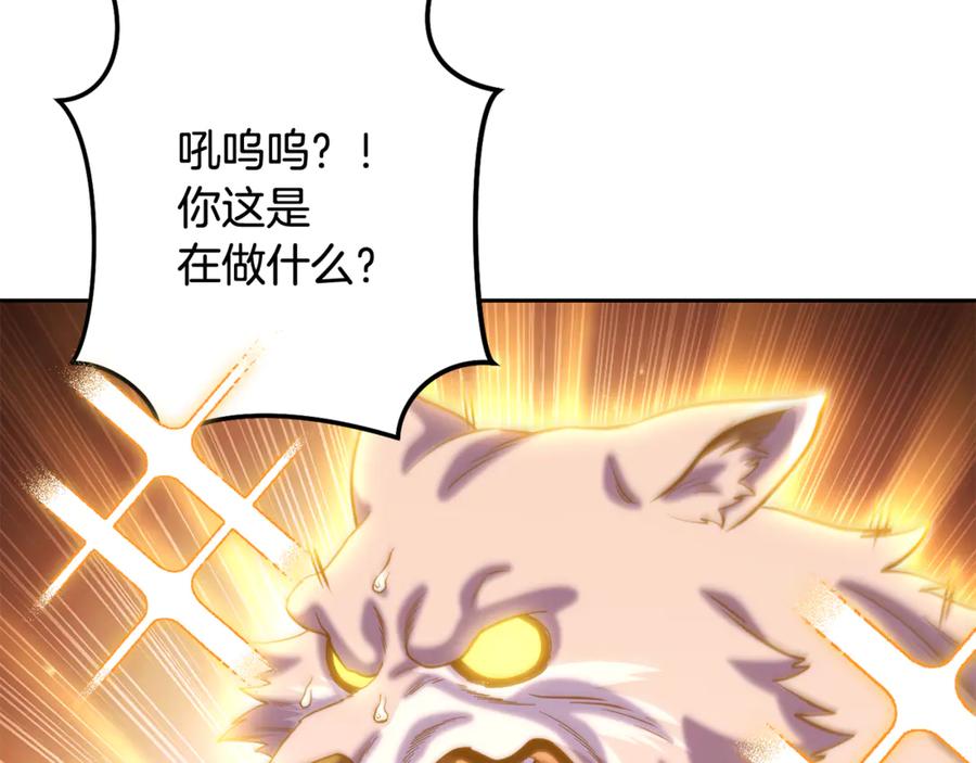 重启地下城 第255话 准备祭品 第212页