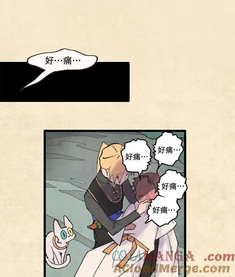 《在流星坠落之处等待》89.那不可能是奇迹（3） 第13页