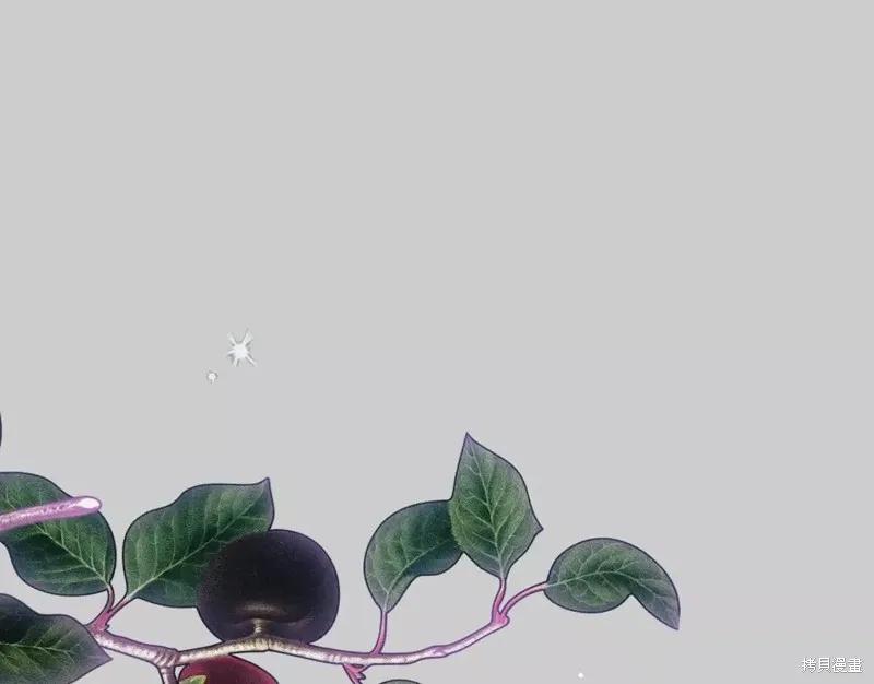 成为怪物皇太子的妻子 - 第二季第31话 - 第80张图