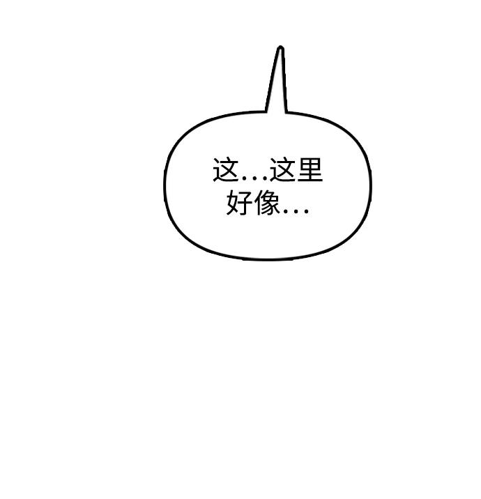 96.jpg