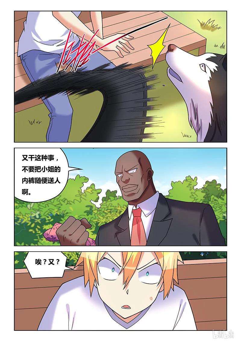 4.jpg